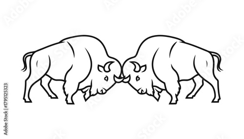 Bison fighting outline illustration on white background