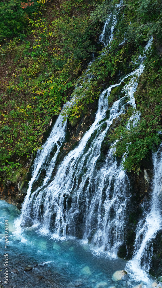 Naklejka premium Shirahige Waterfall with deep cobalt blue hue, Biei river flow beneath, also known as the White Beard Waterfall, this cascading water turns cobalt blue in the basin. Shirogane, Biei, Hokkaido, Japan