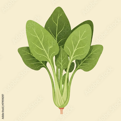 Stylized spinach bunch with textured leaves on a neutral background