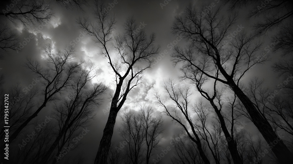 Obraz premium Stormy Monochrome Landscape with Silhouetted Trees