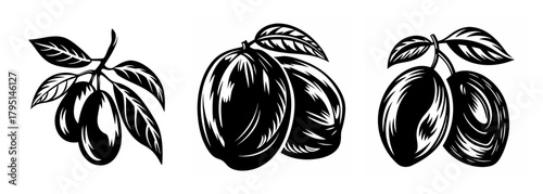 Three artistic renderings of plums on branches with leaves in a black and white sketch style