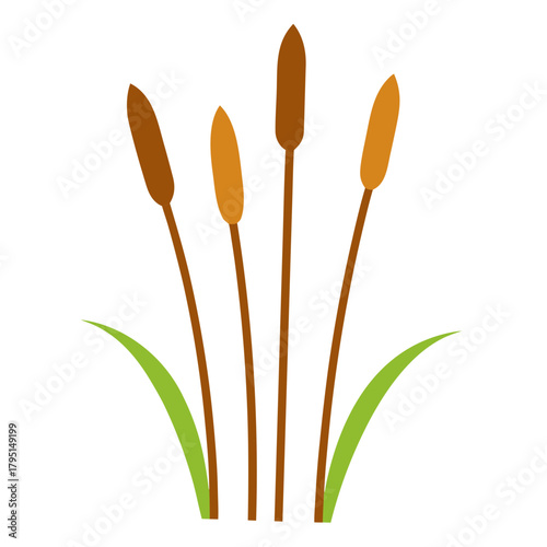 Simple vector illustration of a group of cattail plants with green leaves