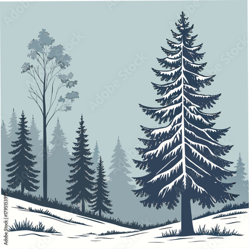 A picturesque winter woodland features majestic fir trees standing tall amidst a snowcovered landscape, their branches adorned with delicate patterns against a soft, muted sky