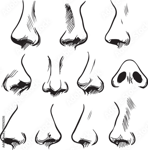  various sketches of a nose from different angles out line silhouette vector.