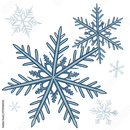 Collection of intricate blue and white snowflakes with delicate crystalline structures on a clean white background