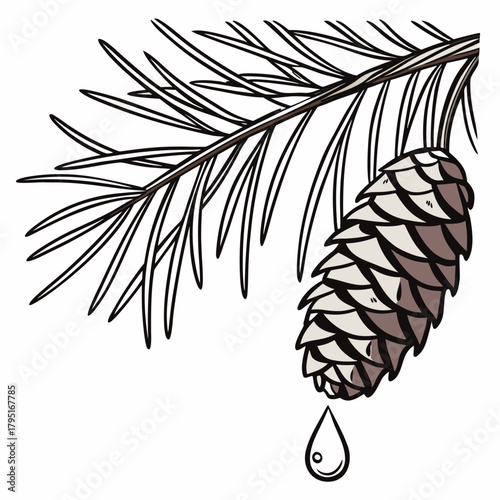 Illustration of a pine cone on a branch with a drop of resin falling from it
