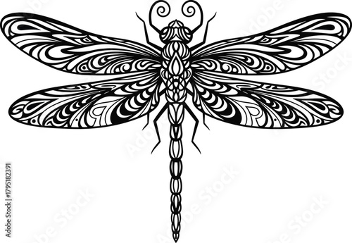 Detailed dragonfly vector illustration intricate wings black and white eps silhouette