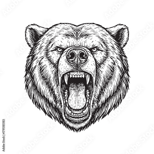 Fierce Grizzly Bear Head Roaring Illustration Black and White