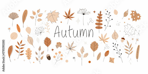 Collection of hand drawn autumn leaves and botanical elements in warm earthy tones