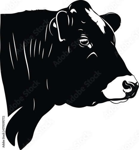 Angus cattle breed vector illustration black and white farm animal art eps silhouette