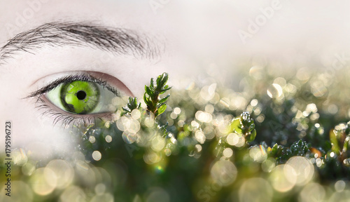 Close to nature. Eye of the woman in the nature field and forest moss environment and ecology.