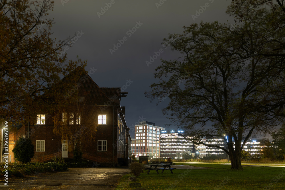 Fototapeta premium An illuminated historic brick building and a large tree frame a grassy park contrasting with brightly lit modern office towers under a dark night sky.
