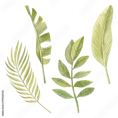 Hand-painted watercolor banana leaves and other leaves – tropical botanical illustration, exotic greenery art, jungle foliage decor, printable wall art