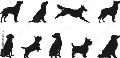 Set silhouettes of dog isolated on transparent background. Side view. Domestic pet. Vector illustration