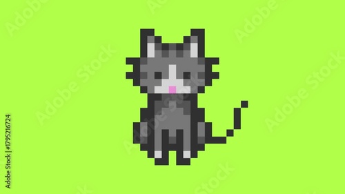 cute grey cat pixel animation on green and white background