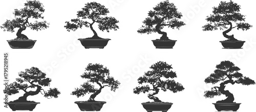 Set silhouettes of bonsai tree isolated on transparent background. Vector illustration