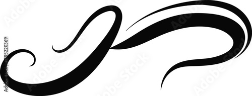 Elegant black calligraphic flourish decorative element graphic