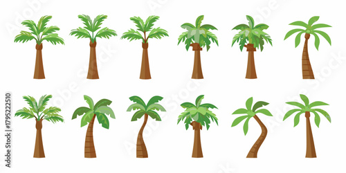 Collection of diverse cartoon palm trees with green leaves and brown trunks on a white background