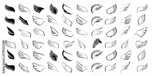 Collection of hand drawn angel wings and feather designs in black ink on a white background