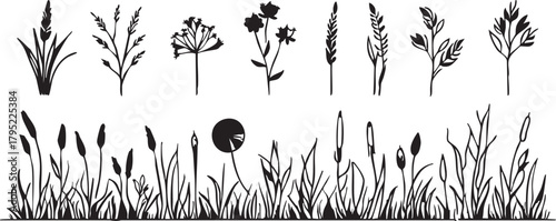 Black and white plant vector set: grass, flowers, and reed silhouettes for design eps