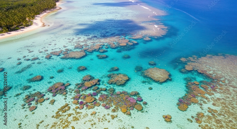 Fototapeta premium Aerial View of Tropical Coral Reef, Turquoise Ocean, and Pristine Sandy Beach