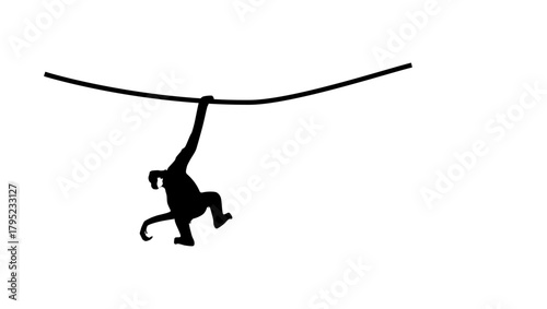 gibbon on tree, black isolated silhouette