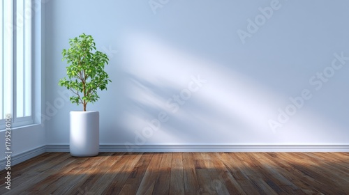 Fototapeta Naklejka Na Ścianę i Meble -  Minimalist Room Plant in White Pot, Hardwood Floor, Sunlight, 3D Render, Interior Design Interior design, 3D rendering