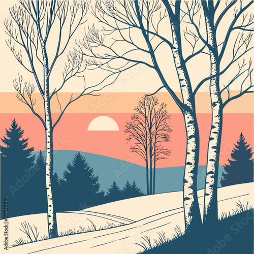 Bare birch trees and evergreen forest at sunset