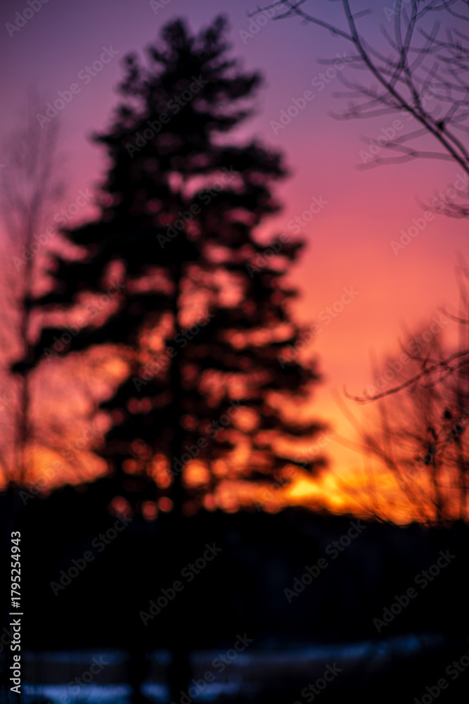Fototapeta premium The sky glows with colors of orange and purple as silhouettes of trees frame the peaceful scene