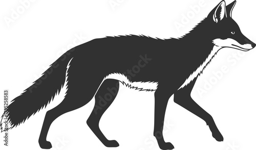 Black fox vector illustration walking fox animal wildlife design graphic eps silhouette