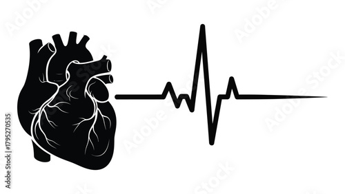 Heart and ecg heartbeat silhouette isolated on white background, Vector