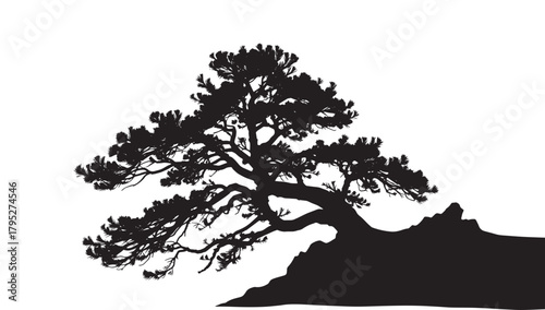 Striking silhouette of an ancient, windswept pine tree dramatically perched on a rocky outcrop against a stark white background, evoking resilience and natural beauty.