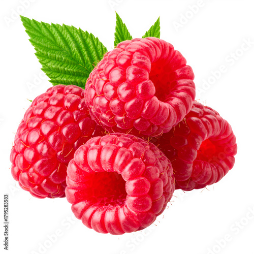 A close up studio shot of a cluster of ripe red raspberries with green leaves 