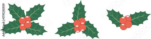 Christmas floral ornament with holly leaves and berries