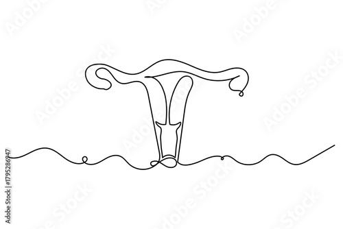 Women's uterus continuous one line drawing of female reproductive outline illustration