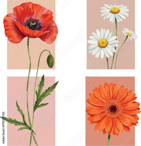 Poppy, daisies, and gerbera collage illustration