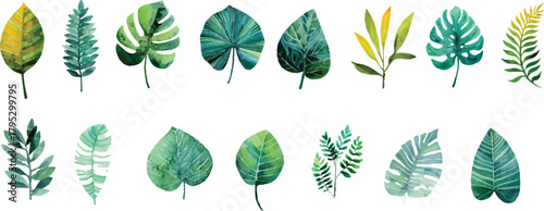 watercolor set of green leaves