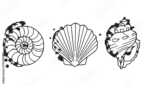 Seashell Vector Illustration Set | Black and White Shell, Starfish, and Clam Icons