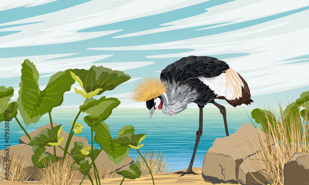 Obraz premium A crowned crane walks along a sandy seashore with tropical plants. Wild bird of Africa. Realistic vector animal.