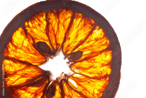 detailed macro of translucent orange slice with seeds, backlit citrus fruit