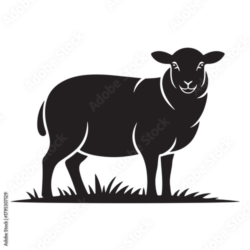 Illustration of a sheep standing in grass, isolated on white background, a symbol of peace and animal husbandry