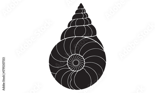 Seashell Vector Illustration Set | Black and White Shell, Starfish, and Clam Icons