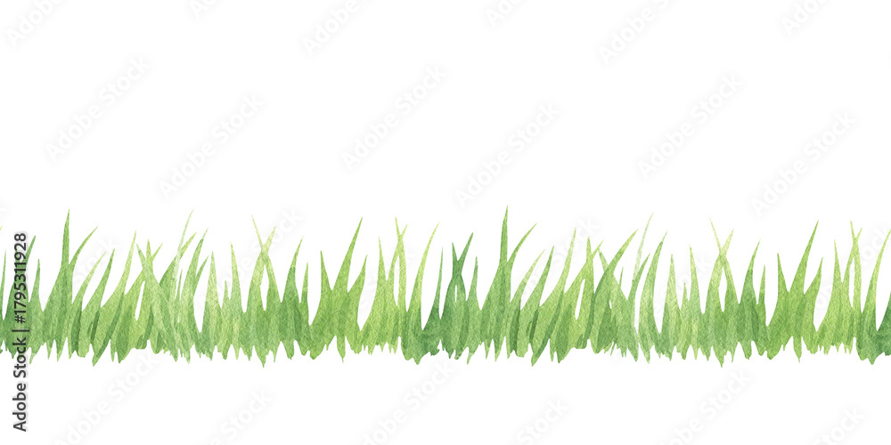 Fototapeta premium Watercolor green grass border. Hand-drawn illustration of green tall grass, greenery, and a green hedge. Design and decoration. Scrapbooking, ribbon, tape, or stripe. Horizontal banner.
