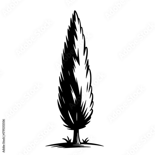 Cypress Tree Silhouette: A detailed black and white illustration of a slender cypress tree standing tall, its silhouette a symbol of strength and serenity.