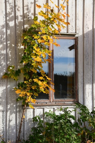 Dalsland-67