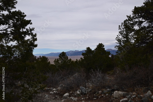 Fototapeta Naklejka Na Ścianę i Meble -  trees mountain sand dunes