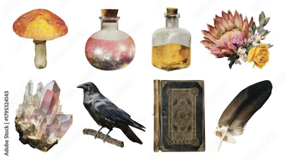 Fototapeta premium Enigmatic Forest Elements and Alchemical Objects on Transparent Background