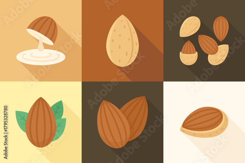 Various almond nuts in flat style on warm color background