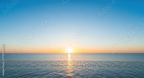 Golden Hour Seascape with Water Birds and Calm Reflections