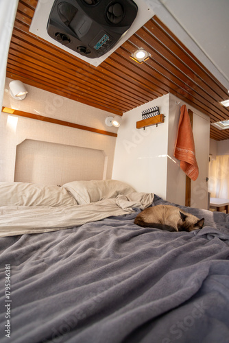 Cozy camper van interior with a cat resting on the bed in a warm and inviting space for vanlife adventures
